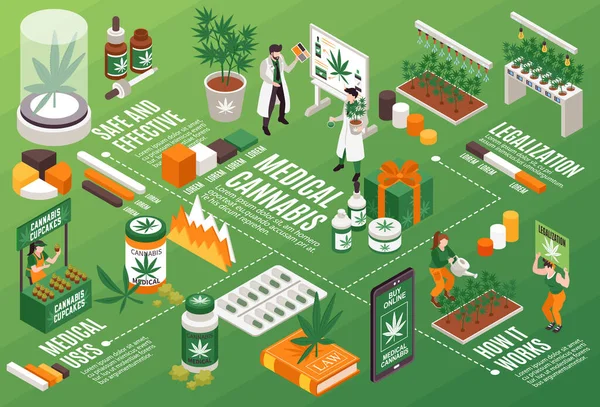 Cannabis Schema Infografico Orizzontale Illustrato Legge Libro Usi Medici Cottura — Vettoriale Stock