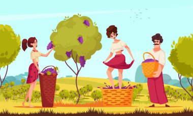 Geleneksel şarap yapımı karikatür. Kadın ayak vektör çizimi ile üzüm sıkıyor.