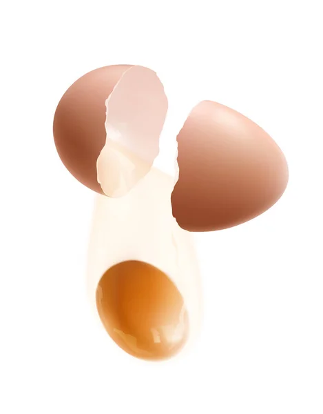 空白背景矢量图上孤立逼真食物图像的母鸡蛋组合 — 图库矢量图片
