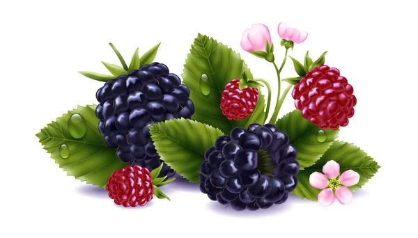 Blackberry Composición Realista Con Flores Bayas Maduras Maduras Hojas Vector — Vector de stock
