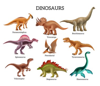 Dinozorlar gerçekçi triceratops pterodactyl spinosaurus stegosaurus branchiosaurus ve diğer türler izole edilmiş vektör çizimleri ile dizilmiştir.