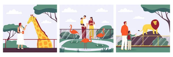 Állatkert Kompozíciók Készlet Emberek Etetés Zsiráf Nézi Oroszlán Flamingók Lapos — Stock Vector