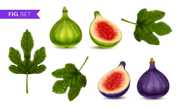 Higos Conjunto Realista Frutas Maduras Verdes Púrpuras Enteras Cortadas Hojas — Vector de stock