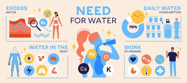 Water Infographics Pictogram Icons Body Organs Health Chemicals Text Human — Stock Vector