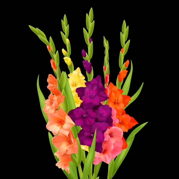 オレンジ色のピンクの黄色と紫のグラジオラスの花の現実的な束黒の背景ベクトル図 — ストックベクタ