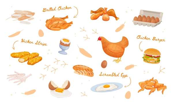 Csirke Termékek Lapos Összetételű Készlet Elszigetelt Pályák Díszítik Szöveg Feliratok — Stock Vector