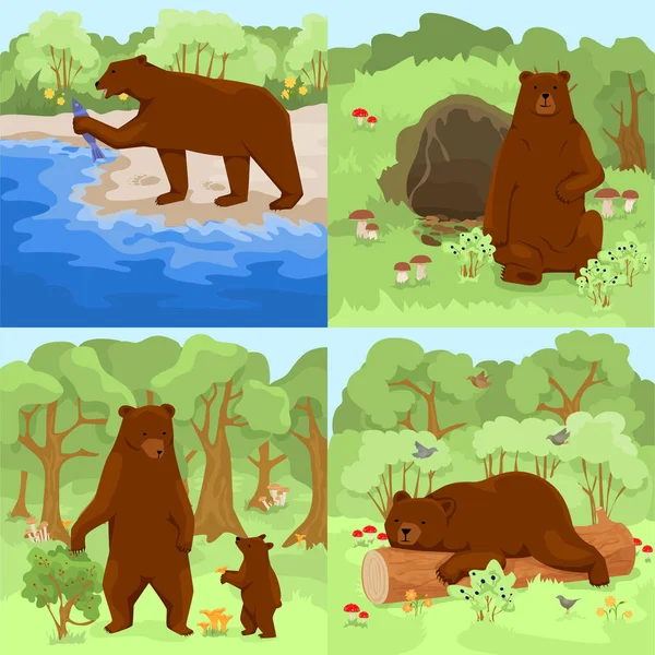 屋外の森の風景と茶色のグリズリークマが生息地のベクトルイラストで4つの正方形の構成で設定します — ストックベクタ