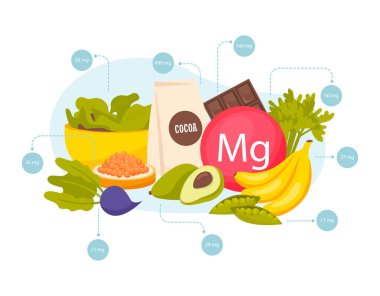 Magnezyum zengini besinler. Muz avokado kakao havyar, bezelye, çikolata vektör illüstrasyonu.