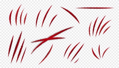 Saydam arkaplanı ve pençeleri ve vahşi hayvanların diş çizimlerinden kaynaklanan kanlı çizikleri var.