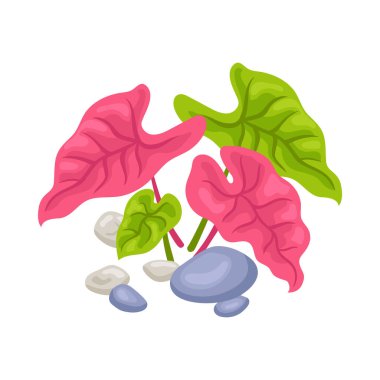 Boş arkaplan vektör illüstrasyonunda izole edilmiş çiçek resmi içeren Isome botanik bahçe sera kompozisyonu