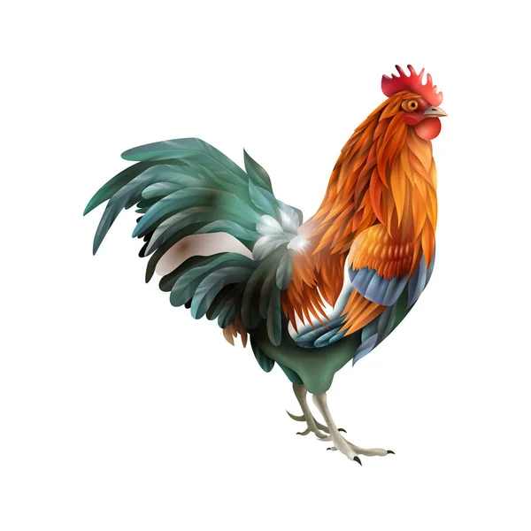 Состав Жизненного Цикла Цыплят Изолированным Реалистичным Изображением Пустой Векторной Иллюстрации — стоковый вектор