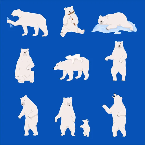 Grizzly Niedźwiedzie Płaski Zestaw Odizolowanymi Widokami Białych Niedźwiedzi Cub Walking — Wektor stockowy