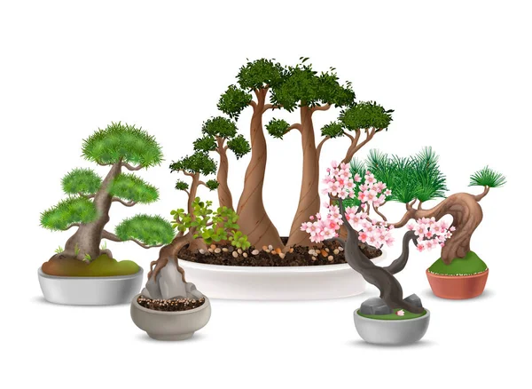 Realistische Japanische Bonsai Baum Komposition Mit Blühendem Sakura Blumentopf Vektorillustration — Stockvektor