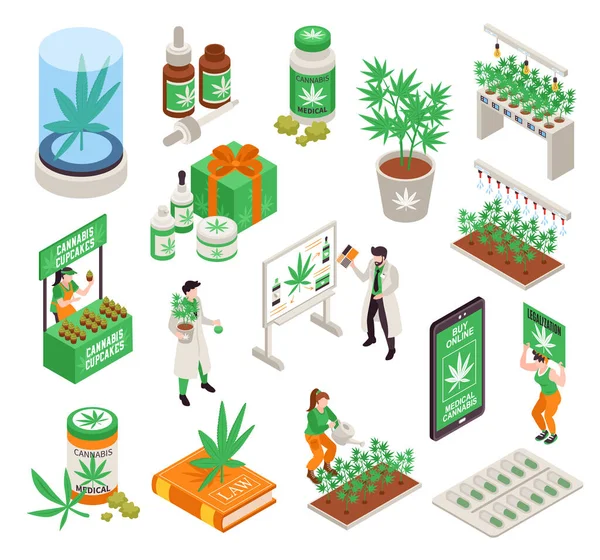 大麻合法化 一组从事大麻种植的人以及烹调化妆品和药物的产品 — 图库矢量图片