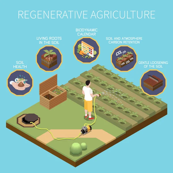 Agriculture Régénérative Concept Isométrique Avec Des Principes Modernes Culture Des — Image vectorielle