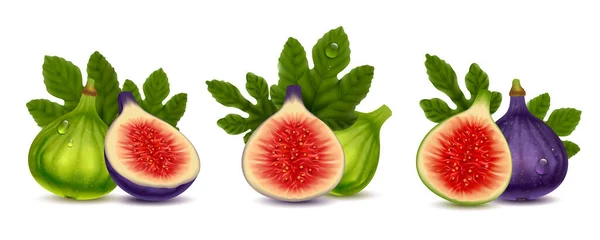 Инжир Реалистичные Композиции Цельных Полуплодов Зеленой Фиолетовой Тонкой Кожей Листья — стоковый вектор