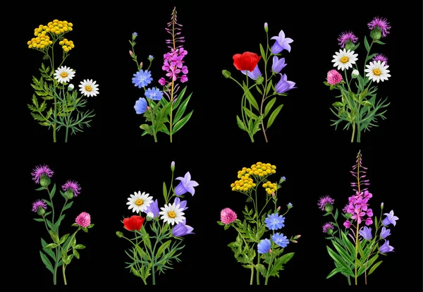 Realistico Wildflower Bundle Icone Impostato Sfondo Nero Isolato Vettoriale Illustrazione — Vettoriale Stock