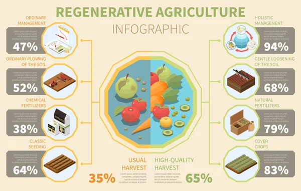 Infographie Agriculture Régénérative Avec Des Fruits Légumes Biologiques Des Symboles — Image vectorielle