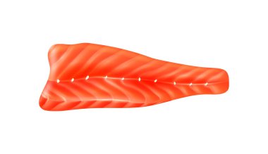 Gerçekçi çiğ somon balığı fileto vektör illüstrasyonu