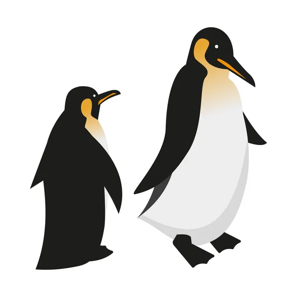 Два Королевских Пингвина Изометрическая Трехмерная Векторная Иллюстрация — стоковый вектор