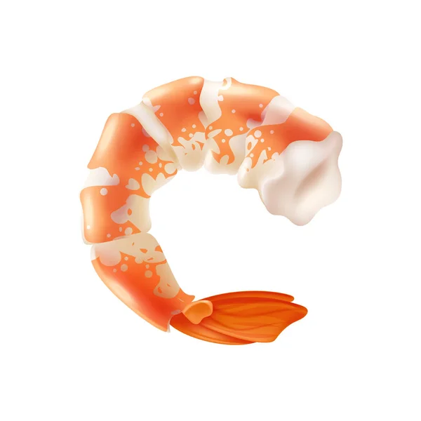 Boiled Shrimp White Background Realistic Vector Illustration — Stock Vector