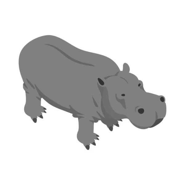 Hipopótamo Gris Isométrico Sobre Fondo Blanco Vector Ilustración — Archivo Imágenes Vectoriales