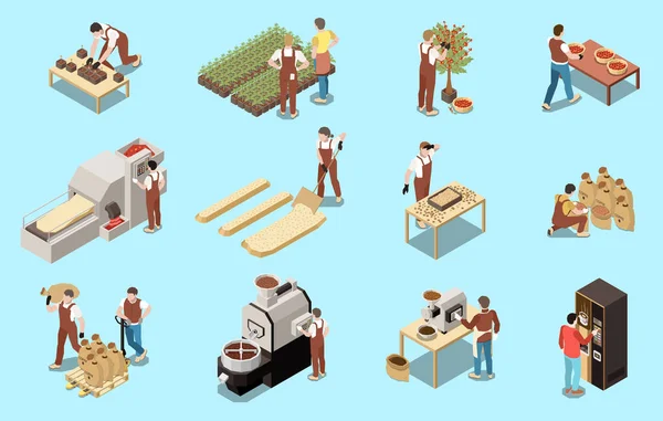 Coffee Production Industry Isometric Set Machinery Drying Beans Grain Roasting — Wektor stockowy