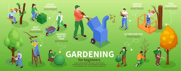 Garden Workers Infographic Set Hedge Trimming Symbols Isometric Vector Illustration — Image vectorielle