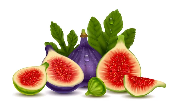Figs Realistic Composition Consisting Whole Cut Fresh Ripe Fruits White — стоковый вектор