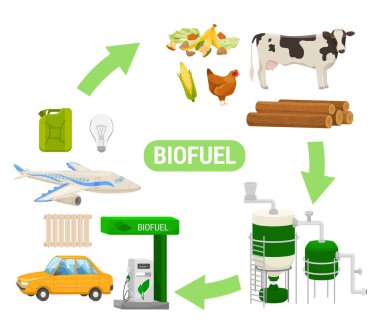 Biofuel production flat scheme depicting process from natural raw materials to gas stations vector illustration