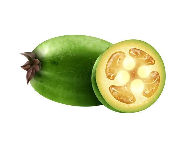 Realistic Whole Sliced Feijoa White Background Vector Illustration — 图库矢量图片