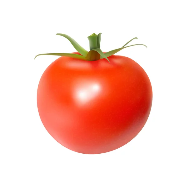 Realistic Fresh Tomato White Background Vector Illustration — Wektor stockowy