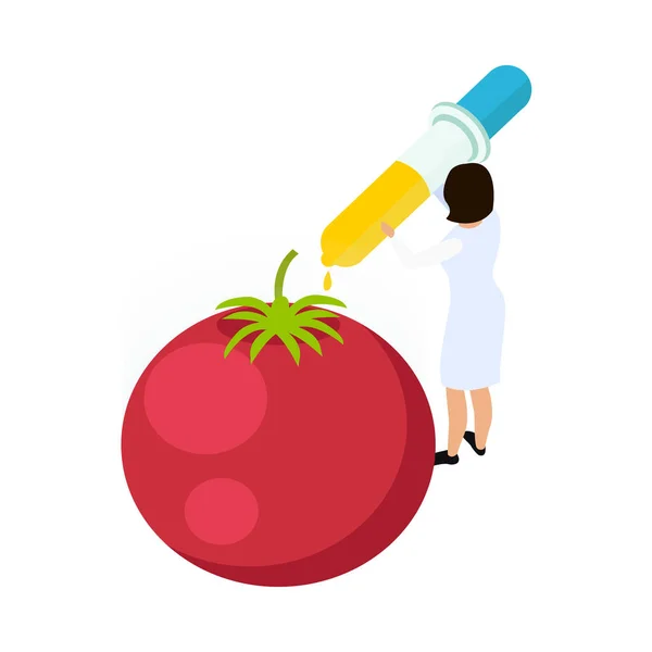 Isometric Artificial Food Icon Tomato Lab Worker Carrying Out Experiment — 图库矢量图片