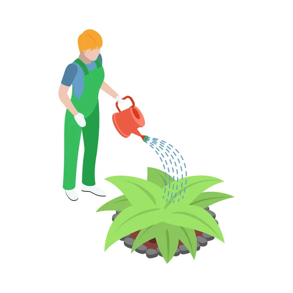Isometric Gardener Uniform Watering Plant Vector Illustration — Vector de stock