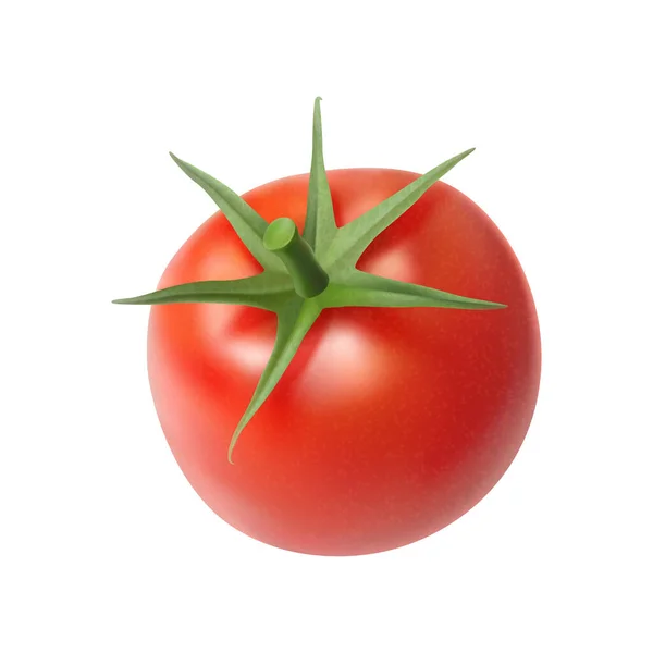 Fresh Whole Tomato White Background Realistic Vector Illustration — Stok Vektör