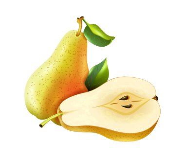 Realistic fresh whole and cut pear with leaves vector illustration