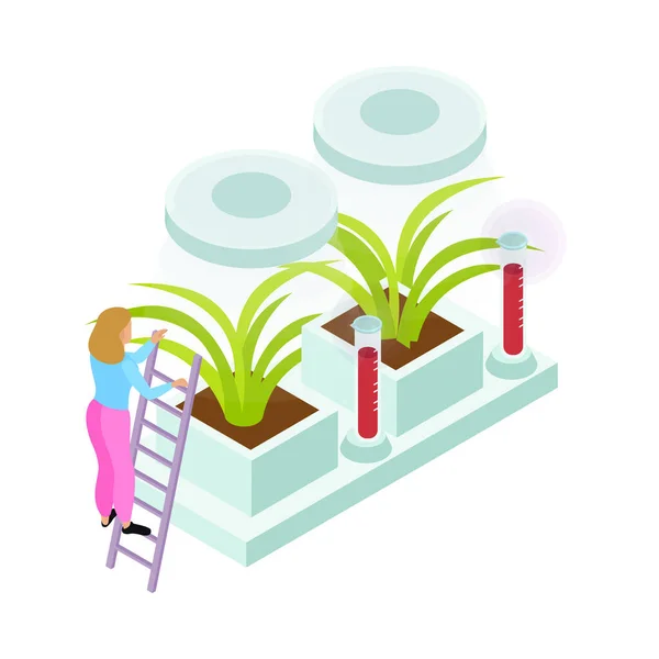 Isometric Artificial Food Icon Plants Growing Laboratory Vector Illustration — Image vectorielle