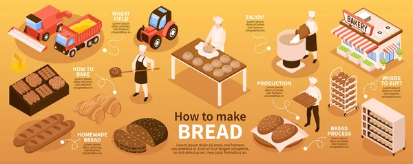 stock vector Bread production infographic set with homemade bread symbols isometric vector illustration