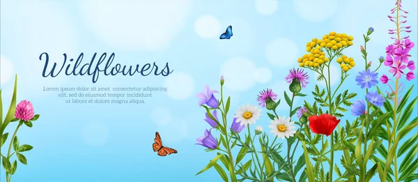 Реалистичный Плакат Полевых Цветов Красочными Цветами Летящими Бабочками Фоне Голубого — стоковый вектор