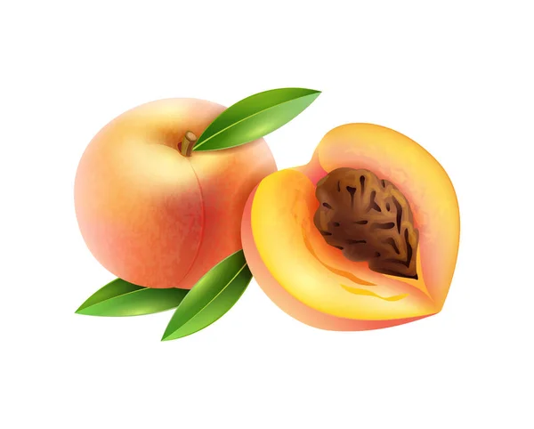 Fresh Whole Cut Peaches Leaves Realistic Vector Illustration — Archivo Imágenes Vectoriales