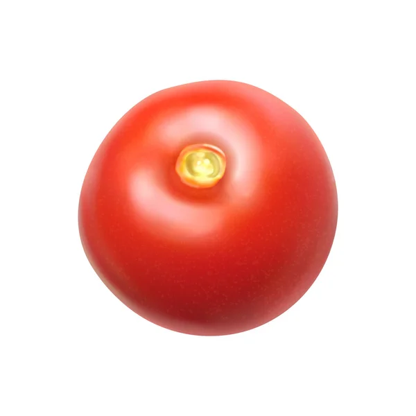Fresh Red Tomato White Background Realistic Vector Illustration — Stok Vektör