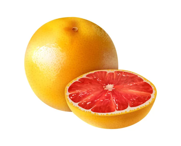 Realistic Fresh Whole Cut Grapefruit Vector Illustration — Vector de stock