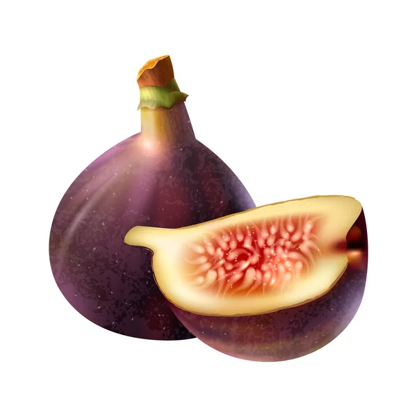 Realistic Fresh Whole Cut Fig White Background Vector Illustration — Image vectorielle