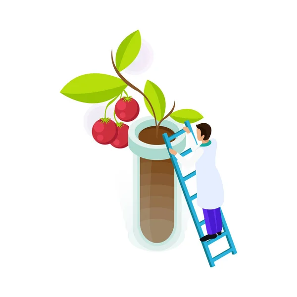 Isometric Artificial Food Icon Tomato Plant Growing Tube Vector Illustration — Image vectorielle