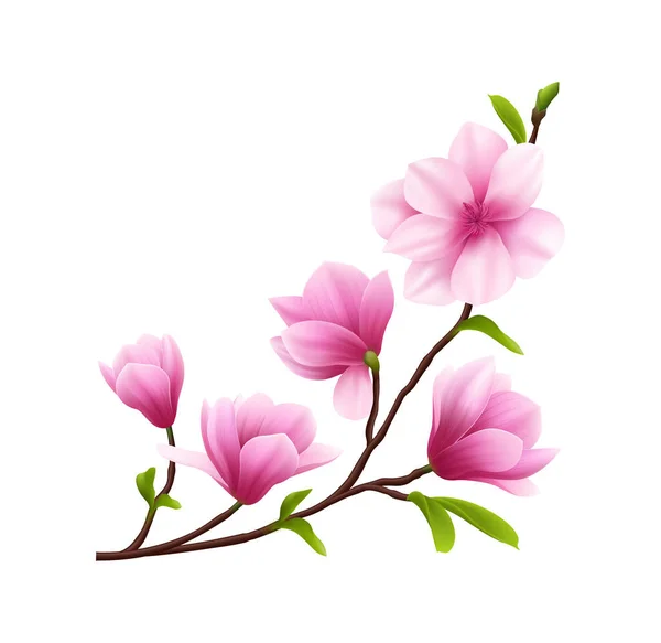 Pink Realistic Magnolia Flower Icon Composition Flowers Branch Isolated Blank — Διανυσματικό Αρχείο