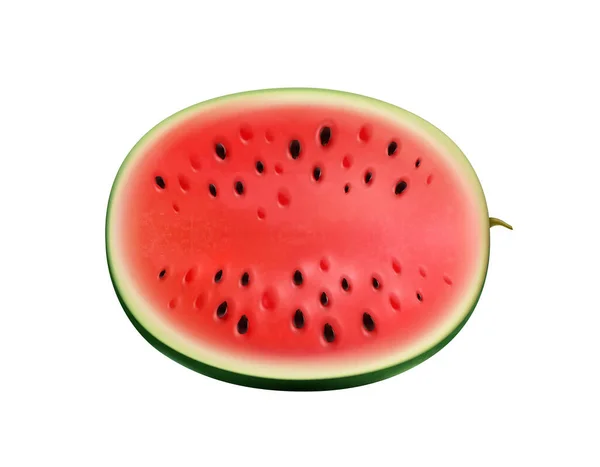 Watermelon Realistic Composition Isolated Juicy Fruit Image Blank Background Vector — Stockvector