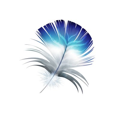 Feathers realistic composition with exotic birds natural dyed spotted mix colored realistic image vector illustration