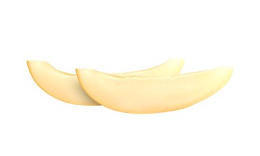 Melon realistic composition with isolated juicy fruit image on blank background vector illustration