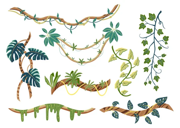 Flat Set Tropical Lianas Green Leaves Isolated White Background Vector — 图库矢量图片