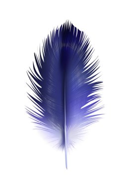 Feathers realistic composition with exotic birds natural dyed spotted mix colored realistic image vector illustration